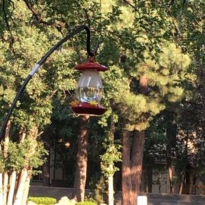 Meet your Posher, Janet